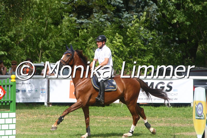 308M4966_Chico_Springpferde Mx.JPG